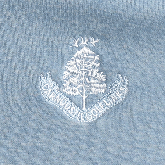 Lightweight Hoodie - Heather Blue Jay