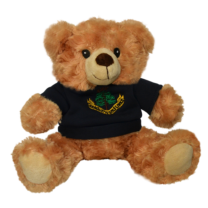 Teddy Bear With Hoodie - Navy