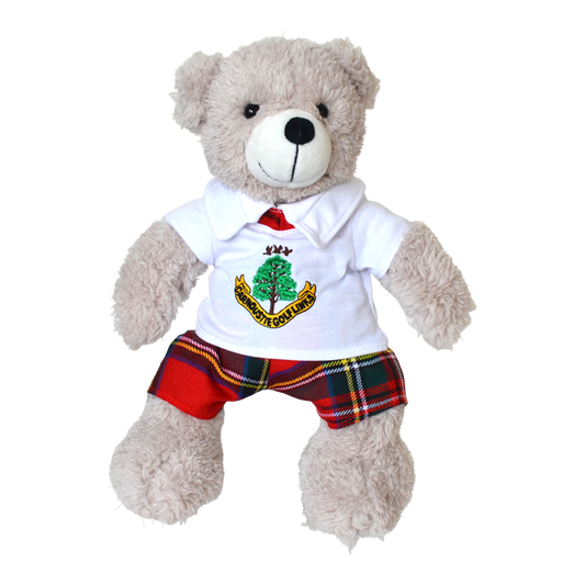 Teddy Bear - Tartan