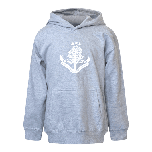 Kids Hoodie - Heather Grey