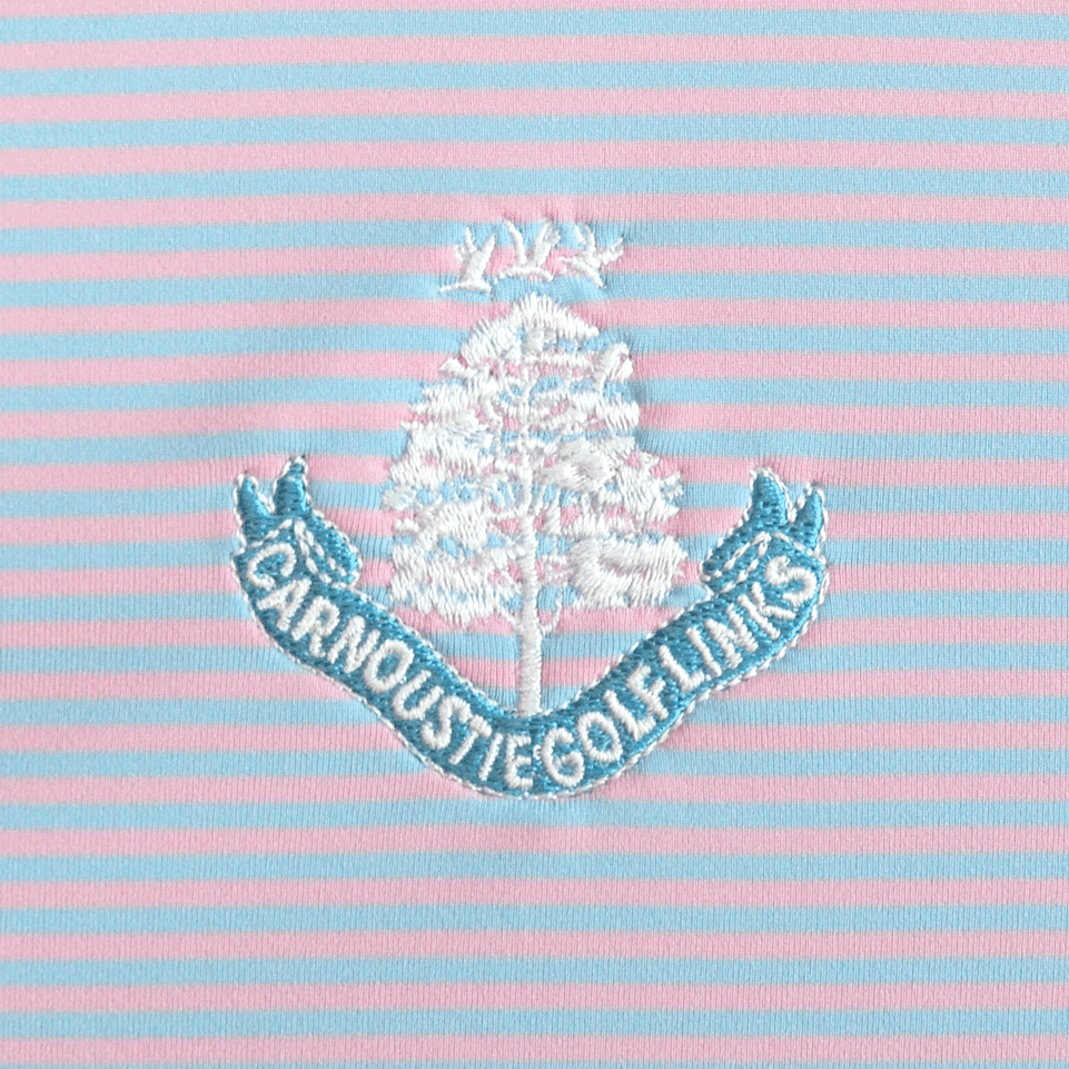 Hales Performance Polo Shirt - Pink Vale