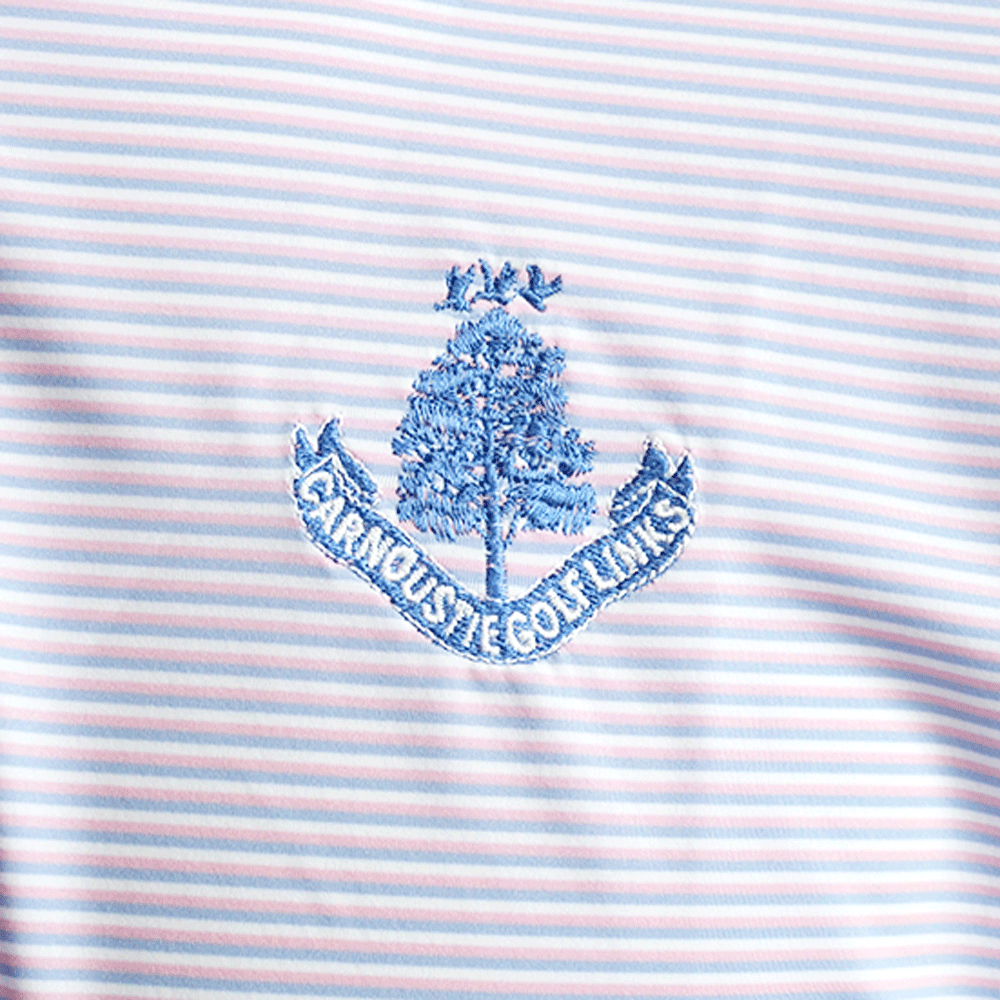 Jesse Stripe Polo Shirt - Pink Multi