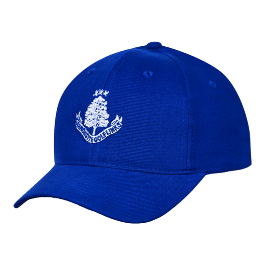 Cotton Baseball Cap - Royal