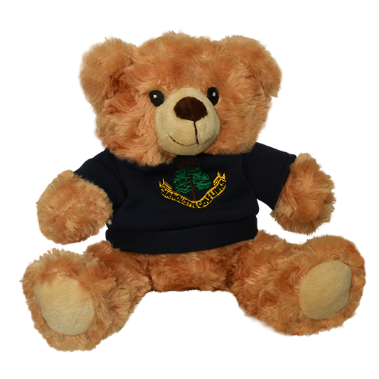 Teddy Bear With Hoodie - Navy
